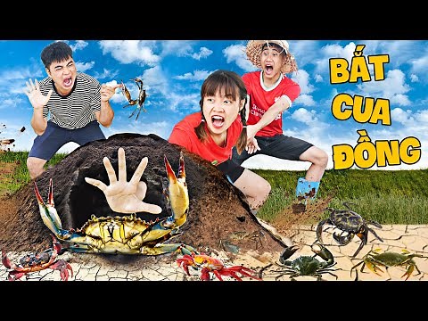 Hà Sam Đi Bắt Cua Đồng Làm Món Cua Chiên Giòn Cực Ngon