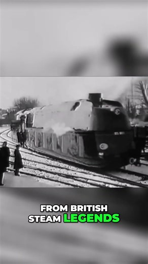 All Aboard! Epic Railway Tales & Hidden Gems #Germany #train #steam #fyp