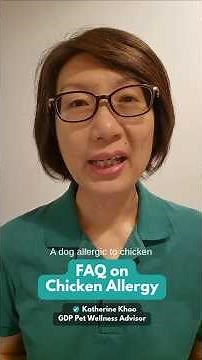 FAQ on chicken allergy in dogs