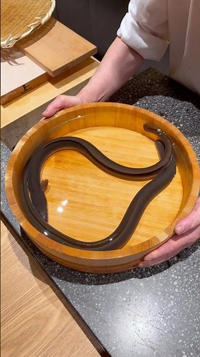 銀座で楽しむ革新的な「現代鰻おまかせフルコース」(Innovative "Modern Unagi Omakase Full Course" in Ginza)