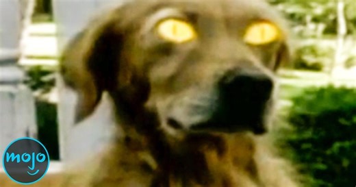 These Were The Biggest Trends of the 90s... | Videos on WatchMojo.com