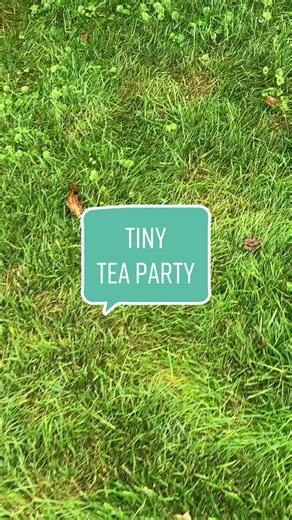 Enhance Your Fairy Party with More Miniatures!