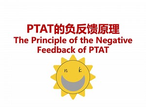 PTAT的负反馈原理