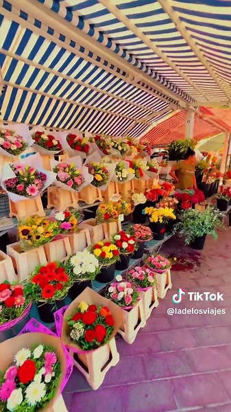 Descubre 4 Tips Imperdibles para Disfrutar en Niza, Francia
