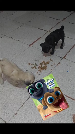 Videos de Mary chuy Padilla (@marychuypadilla) con “Puppy Dog Pals (From