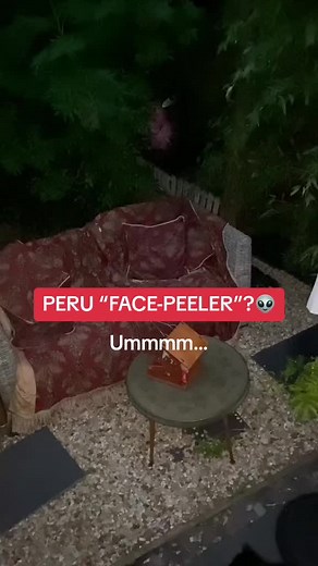 WTF are we looking at? Is this an alien? 👽Is this what the Peru “Face-Peelers” look like? 😳What do you think it is? Let’s talk about it… #alien #alientok #horrortok #creepy #peru #perualiens #perualiensfacepeelers #facepeelers #ufo #aliensrealfootage #hallucinationhippies