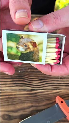 Waterproof Matches That Won't Go Out