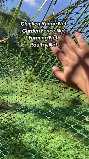 Chicken Range Netting: Easy Garden & Farm Use