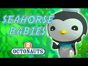 Octonauts - Seahorse Babies | Scary Sea Storm