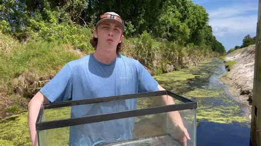 I caught rare fish for my aquarium