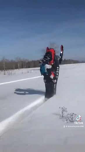 @sledusa•Remember kids.. always look both ways. 😳🎥: @ drewhayward98 TikTokwww.sledusa.com#sledusa #sledusanation #snowmobiling #snowmobile | Snowmobile Fails