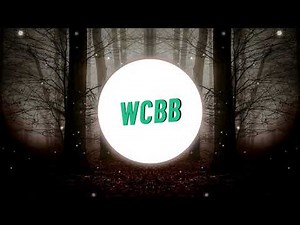 Mitski - Washing machine heart (HARDTEKK remix) [Bass Boosted]