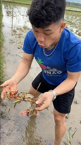 Wow, that's a huge crab, A2! 🦀