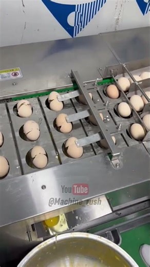 Satisfying Egg Cracking Machine in Action