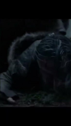 Leonardo DiCaprio’s Bear Attack Scene Explained