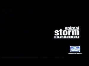 TWC Animal Storm Stories- Evacuating Zoo Animals during Hurricane Ivan, Sep. 2004 (2005)