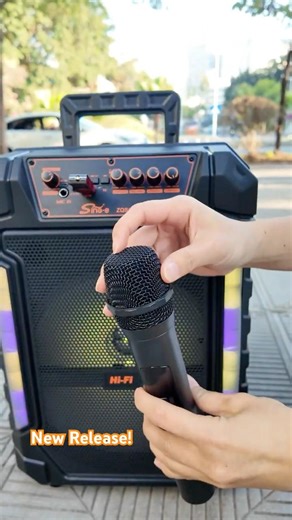 Don’t Buy a Budget Speaker Before Watching This Sound Test! #speakerfactory