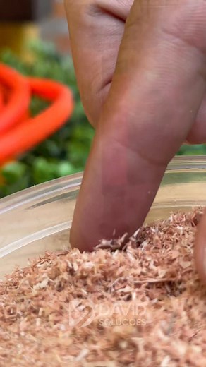 The Trick That Few People Know #DIYHack #SmartTrick #HiddenTips | Pandora Tricks