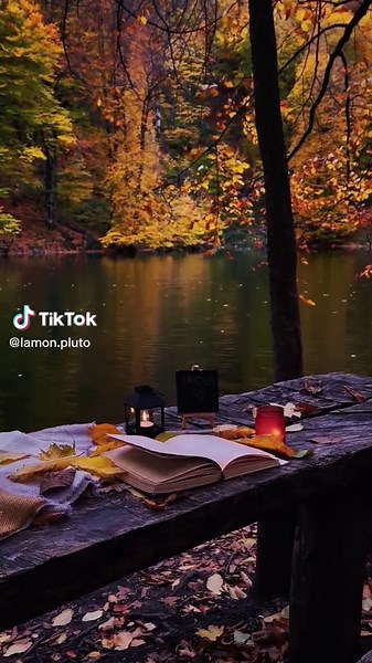 @lamon.mars Read the nature ##healing #peaceful #vibes #vibe #lonely #alone #foryourpage #travel