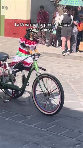 México lindo y querido . 🇲🇽♥️ #mexicolindo #parati #cdmx #viral #fyp