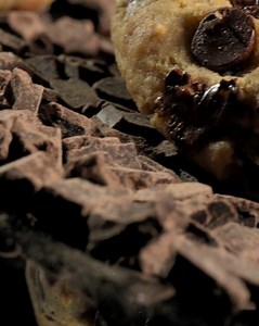 It’d be a cruel summer without this week’s breakable cookie heaven! 🤩 July 10–15 👇 🍯 Honey Bun 🍫 Chocolate Crumb ft. OREO® 🍋 Lemon Cream Pie 🥜 Peanut Butter Crisp ft. Butterfinger® ⚪️ Cookie Butter White Chip ft. Biscoff® 🍪 Semi-Sweet Chocolate Chunk Download the Crumbl App 📲https://www.crumblcookies.com/app | Crumbl