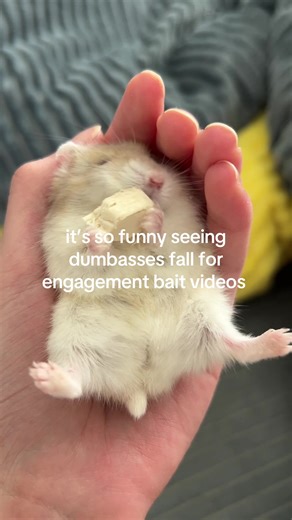 Filler post | bait pranks