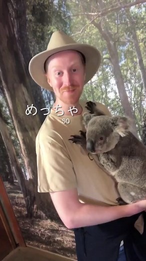 オーストラリアの動物たちをサポートしましょう！🐨 本動画は昨年9月にプロモーションとしてゴールドコーストで撮影しました。森林火災で被害にあった動物たちを応援するためにもアップします。みんなでオーストラリアに元気パワーを送りましょう！#オーストラリア #HIS