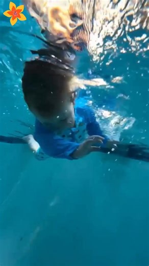 ------------------------------------------------------- #swimtime #swimming #swimmingfun #swimmingpool #blueswim #swimmingcoach #swimmerlife #swimmingfun #swimtime #swimmingtime #swimming #swimminglessons #swimmingpool #swim #swimmingday #blueswim #swimblue @أبرز المعجبين | Dolphin Academy