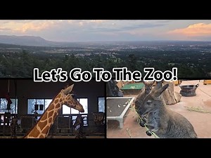 Cheyenne Mountain Zoo in 4K | Up-Close Wildlife & Scenic Views of Colorado Springs