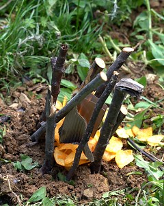 Picnic Like a Pro Nature Hacks You’ll Love Part 4 | DIY & Crafts