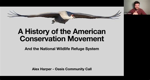 History of the American Conservation Movement & National Wildlife Refuge System