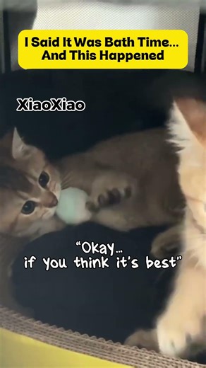 Same House… Different Reactions