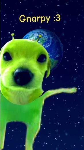 Gnarpy