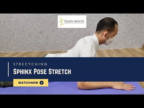 Sphinx Pose Stretch (Neck/ Thoracic/ Low Back Extension Mobility)