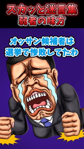 シーモ2ch部屋 on Instagram: "【2chスカッとスレ】弱者の味方〜スカッと迷言集〜#2ch #スカッと #選挙 #参議院 #車椅子"