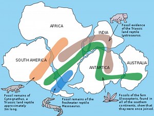 Evidence of sea-floor spreading and Pangaea