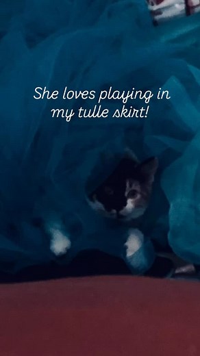 Amanda Johnson on Reels