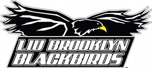 LIU Brooklyn Ready For Second Half Of The Season