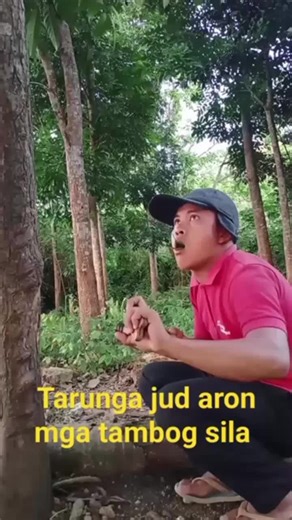 Exploring Bird Songs with Mr. Berting Mixtv