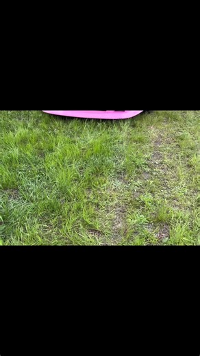 サクラ🌸#180SX #ワンエイティー #silvia #車好きと繋がりたい #桜 #jdm