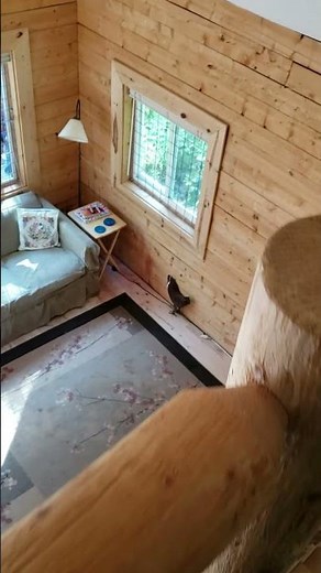 CUTE Alaska log cabin tour #short (off grid and for sale)