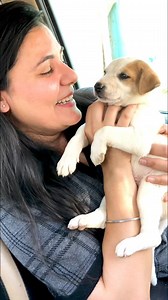 24K views · 1.9K reactions | Love tujhe love my kartee hoo #puppy #puppies #puppylove #puppylovers #puppylife #dogmother #dogmom #dog #dogs #dogfood #doglife #doglover #doglovers #supportus #blessings #love #reels #viral #instareels #insta #instagram #fb #fbreels #fbreelsvideo #fbreelsfypシ゚viral | Bezubaanjaan1517 | Facebook