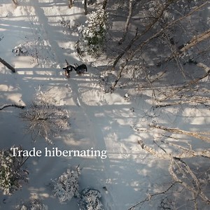 Why escape winter, when there are so many ways to enjoy it. Our Island is filled with outdoor adventures. Find yours. | Prince Edward Island Tourism