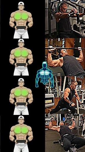 Best Chest Exercises for Maximum Size & Strength! #shorts #fitness #motivation