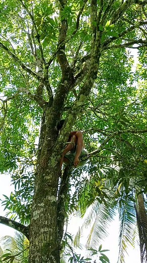 Eba't Adan 🤣 Jay e Evangelista | Heidi Luz Obel Estopase