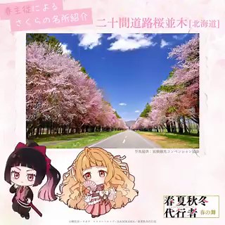 /⋰春主従による　さくらの名所紹介🌸˚.\⋱日本さくらの会が選定する「さくらの名所100選」より雛菊とさくらがご紹介！今週は🌱二十間道路桜並木🌱▼これまでに紹介した名所一覧https://t.co/hKhmYIUoZT#春夏秋冬代行者