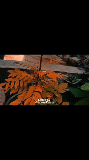 From normal to cinematic in seconds 😇 #cinematicvideo #colorgrading #videoediting #shorts