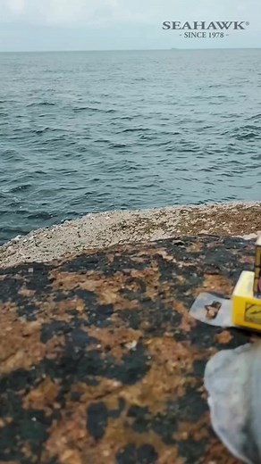 16K views · 96 reactions | Look at these  It’s perfect #SeahawkSquidJig #TeamSeahawk #SeahawkFishing #CatchWithSeahawk | Team Seahawk Fishing | Facebook