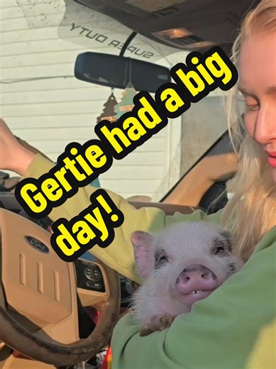 I took Gertie with me, and she had the best time eating grass, mud, and following us around while we prep for planting season 🚜 🌱🌾 🌽 #pigsoftiktok #petsoftiktok #minipig #gertiethepig #farmtok