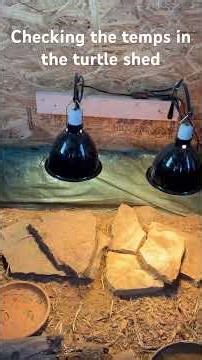 🔥 Checking the New Infrared Heater in the Turtle Shed After a Frosty Night